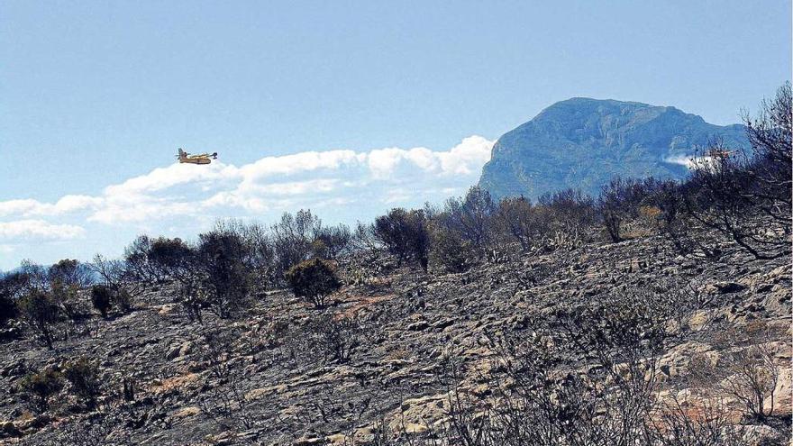 Zona del Cabo de Sant Antoni, que quedó arrasada por el fuego