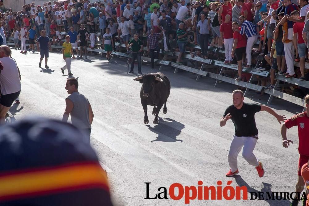 Primer encierro de Calasparra