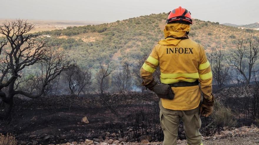 El Infoex paraliza por la alarma las tareas para prevenir los incendios