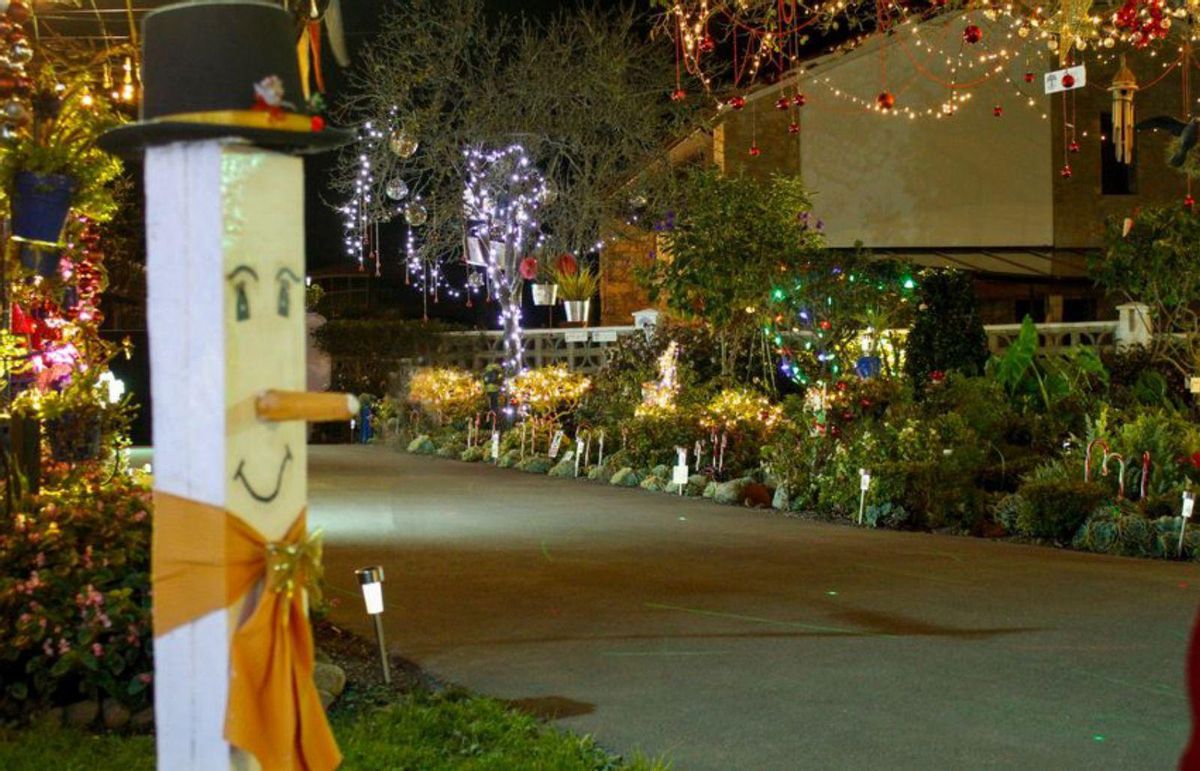 La Navidad brilla más que nunca en Molleda
