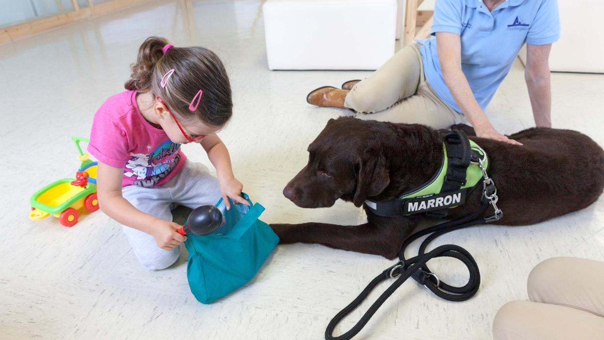 Una niña con un perro durante una terapia en el Hospital Materno Infantil Teresa Herrera de A Coruña.