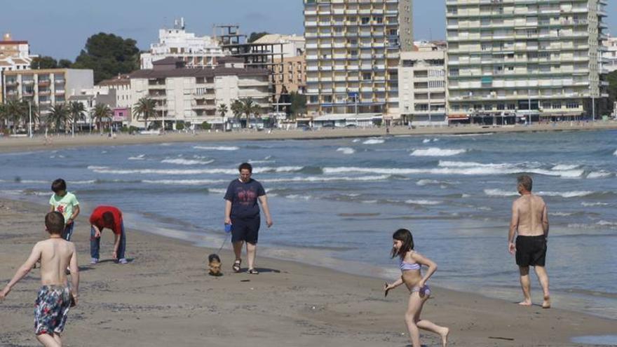 El calor y los temporales traen a las playas de Castellón micromedusas y ‘almendrillas’