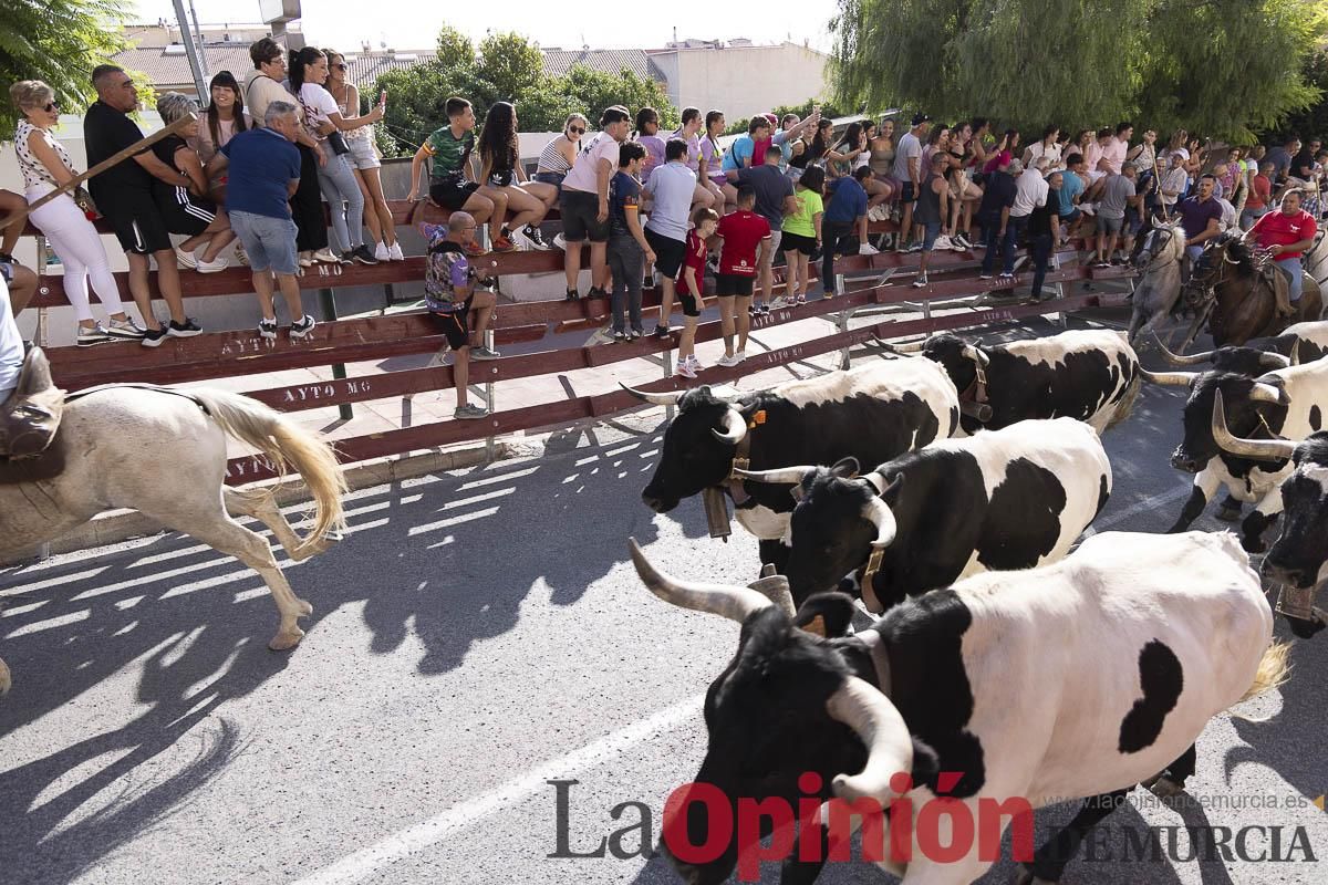 Primer encierro de las Fiestas de Moratalla