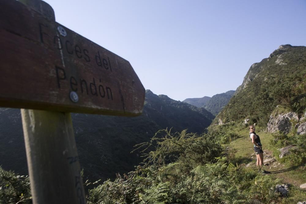 Rutas por Asturias: foces del río Pendón