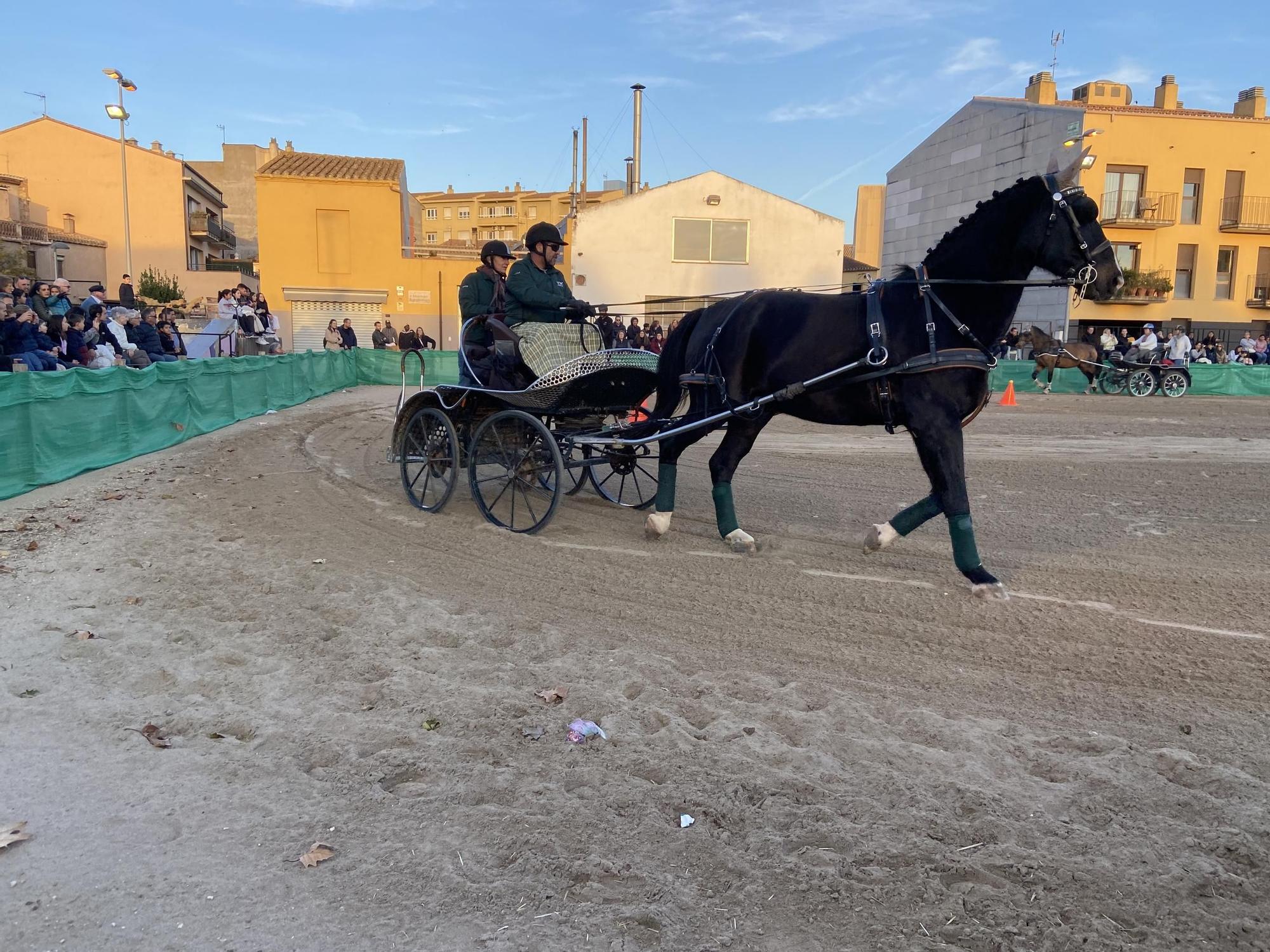 La Fira de Sant Andreu de Torroella en imatges