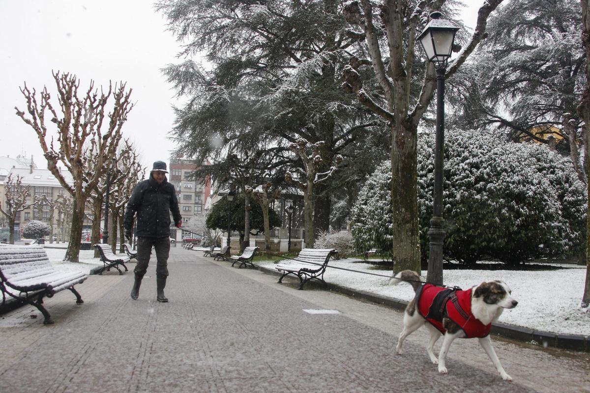 La nieve de la borrasca Juliette en Pola de Siero.