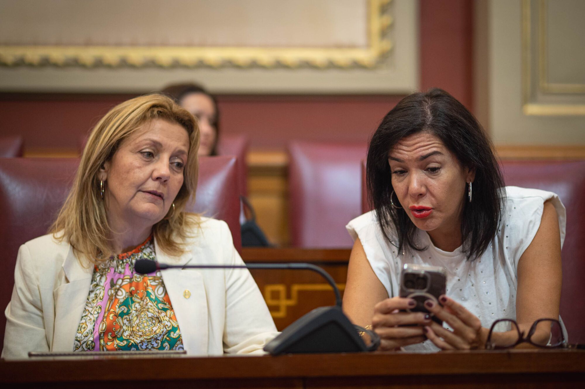 Pleno del Ayuntamiento de Santa Cruz