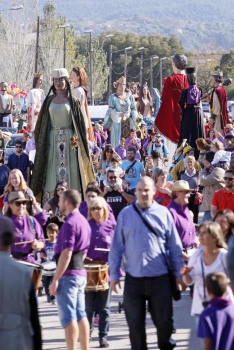 El 65è aniversari dels gegants de Salt aplega més d''una vintena de colles