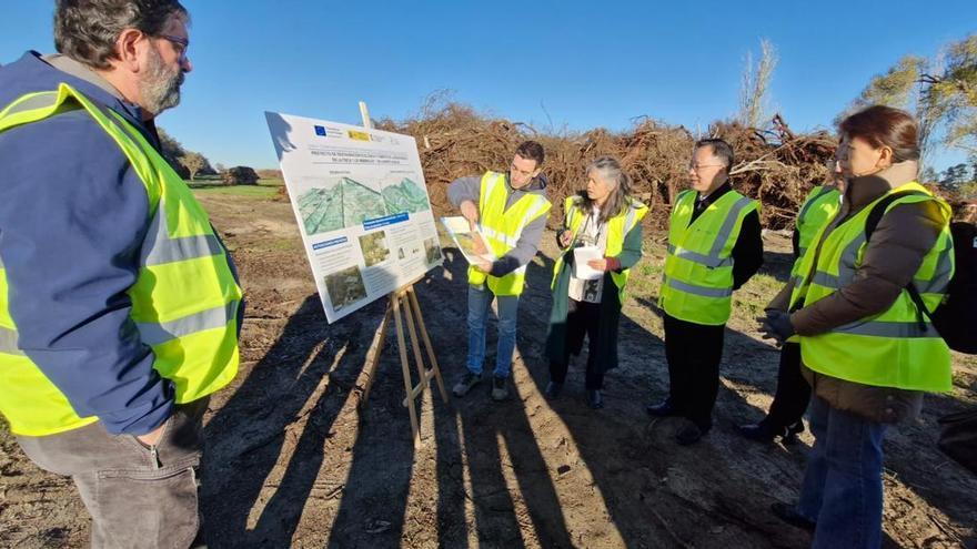 China mira a Doñana: una delegación del país asiático copia cómo se preserva el gran humedal español