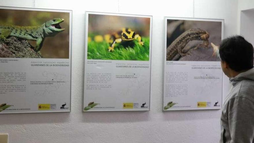 Espacios naturales y fauna en la Casa del Parque de Fermoselle