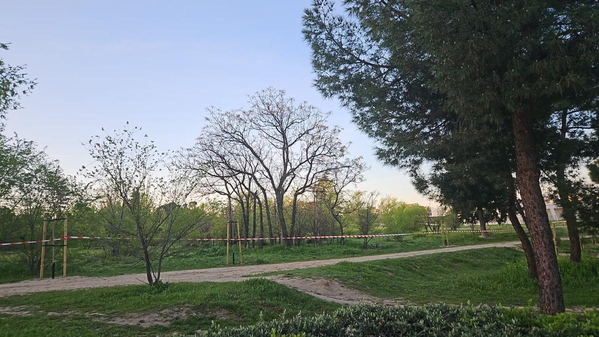 Zona arbolada donde se van a construir el parque y el cantón.