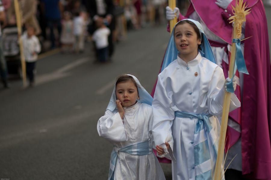 Semana Santa en Zamora: La Borriquita