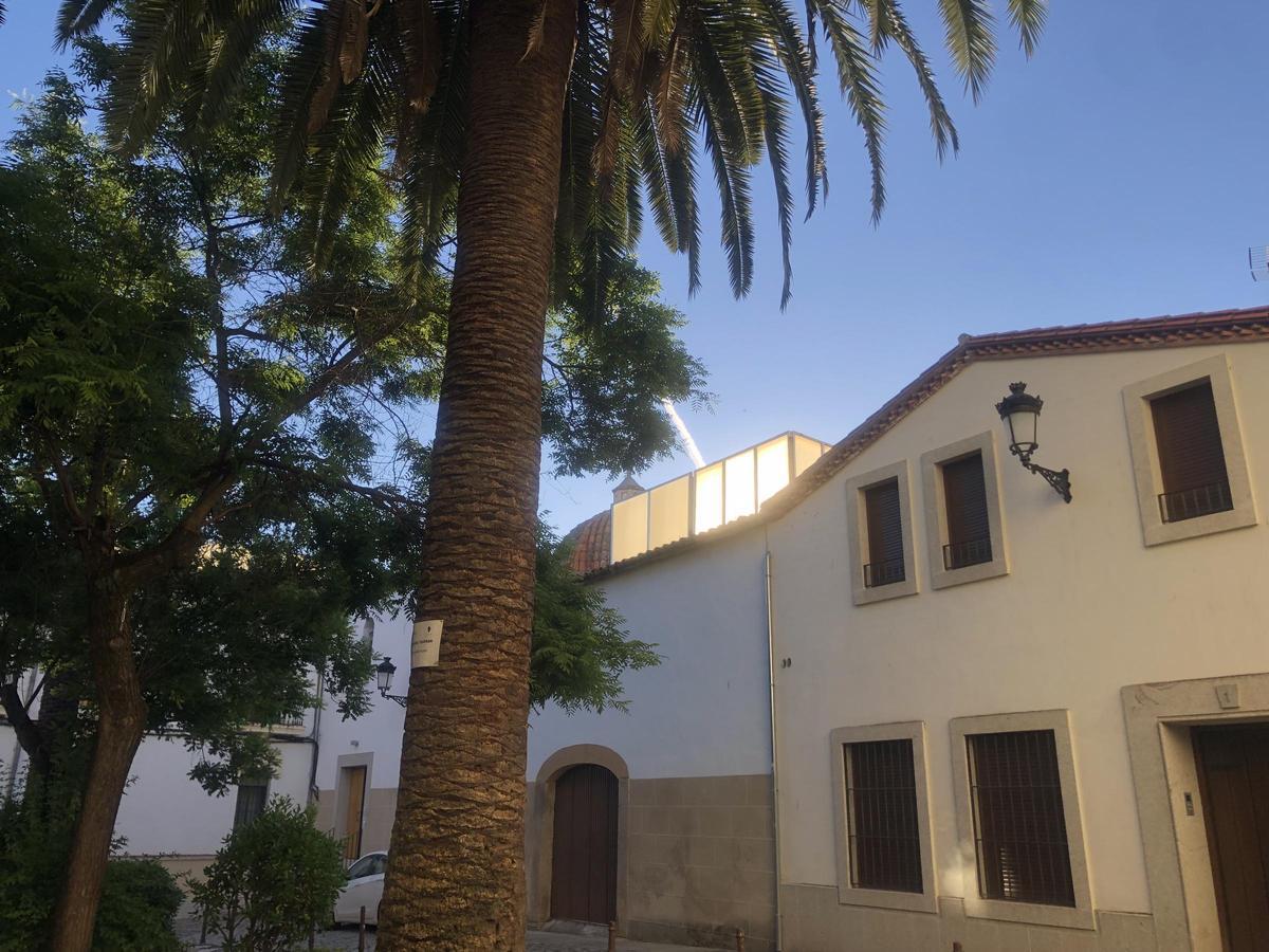 Fotogalería | La plaza de la Audiencia de Cáceres