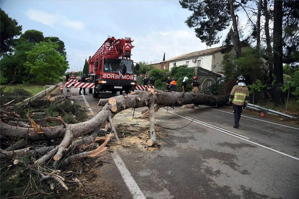 Efectos del viento huracanado en Zaragoza