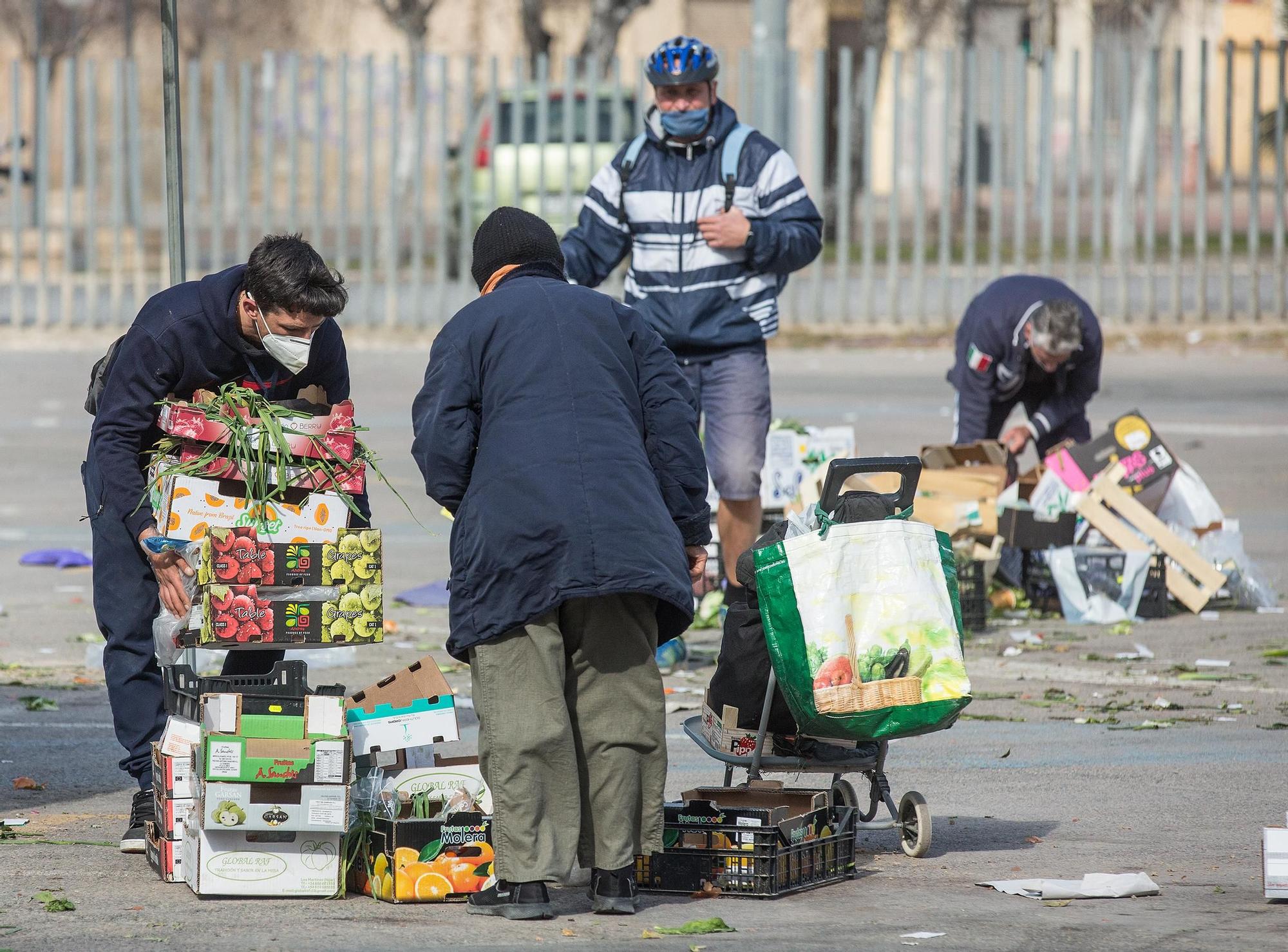 Desechos que alimentan en Alicante