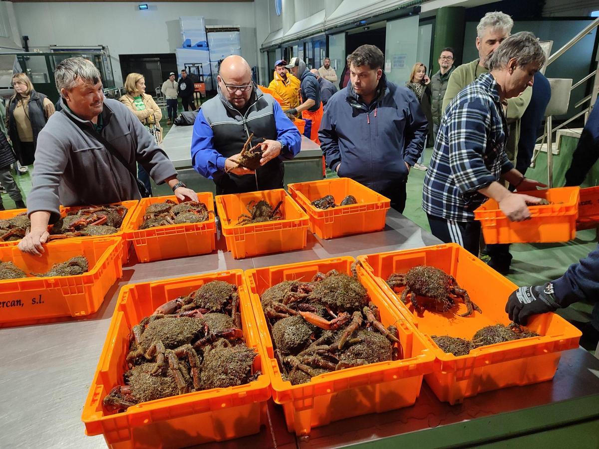 Subasta de centolla en Bueu.