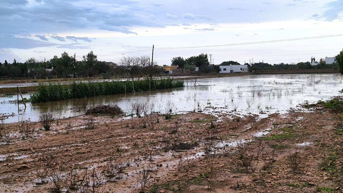 Campo anegado en Formentera tras las lluvias.