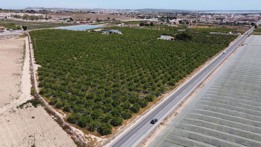 Proyectan una planta solar junto al casco urbano de Los Montesinos