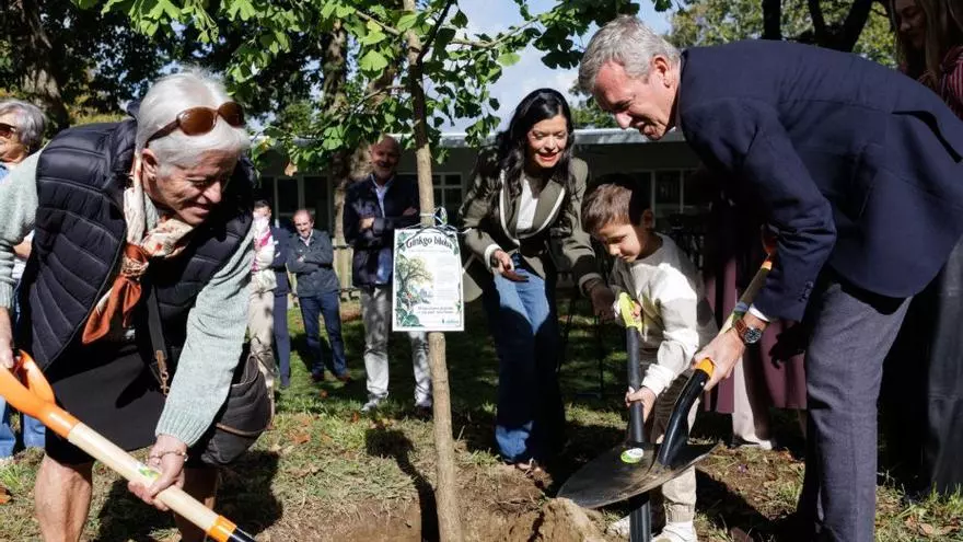 O Rebullón inicia su nueva vida con la apertura de la Escuela Infantil