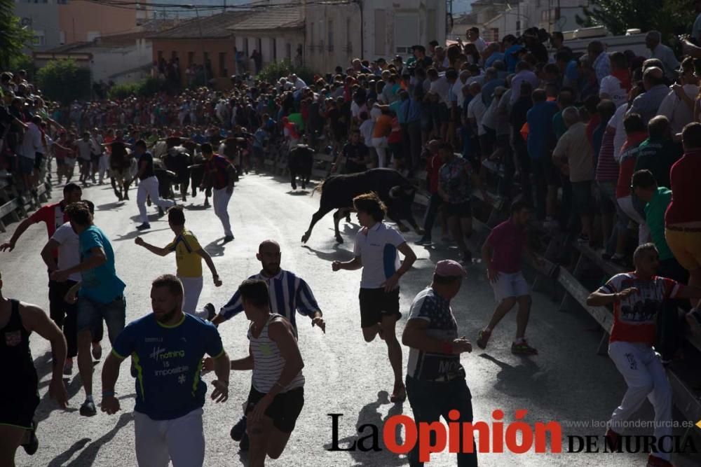 Segundo encierro de Calasparra