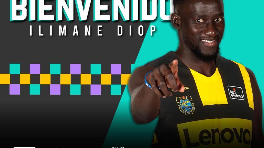 Ilimane Diop, nuevo pívot de Lenovo Tenerife hasta final de temporada