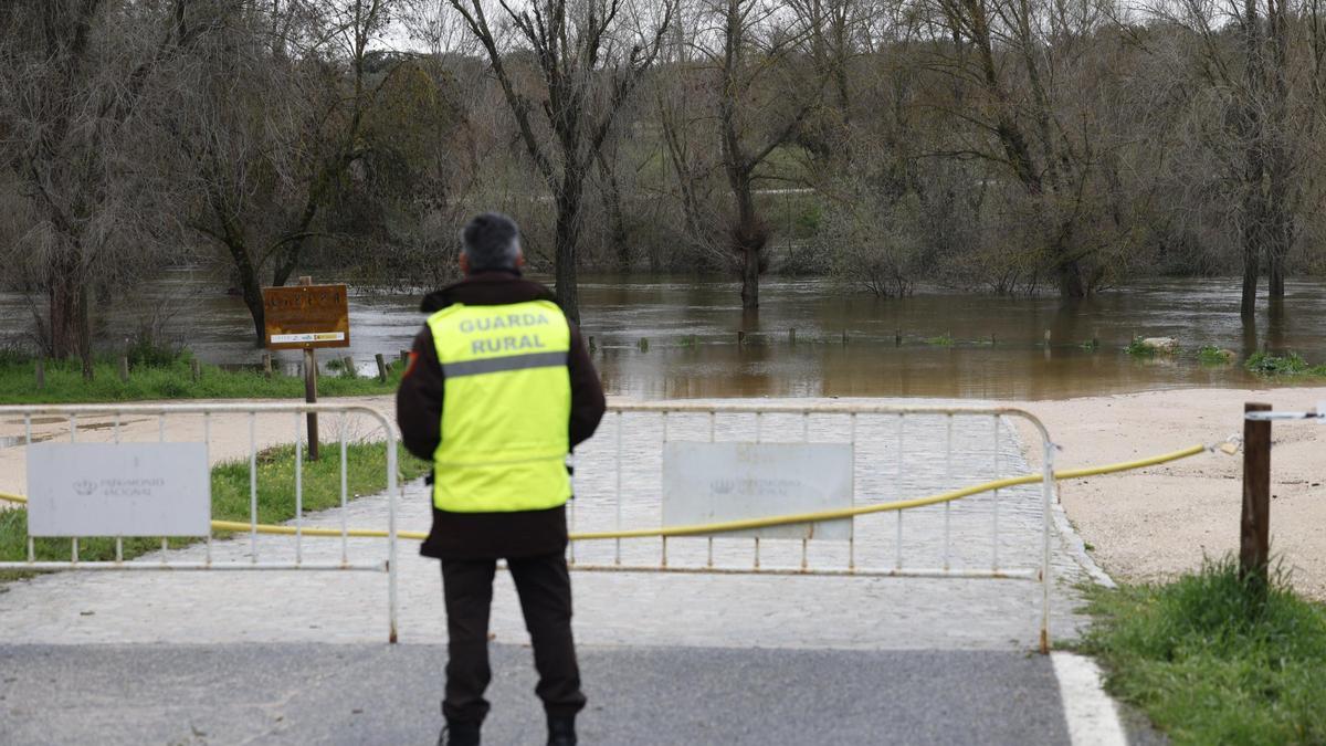 El río Manzanares, desbordado en el barrio madrileño de El Pardo.