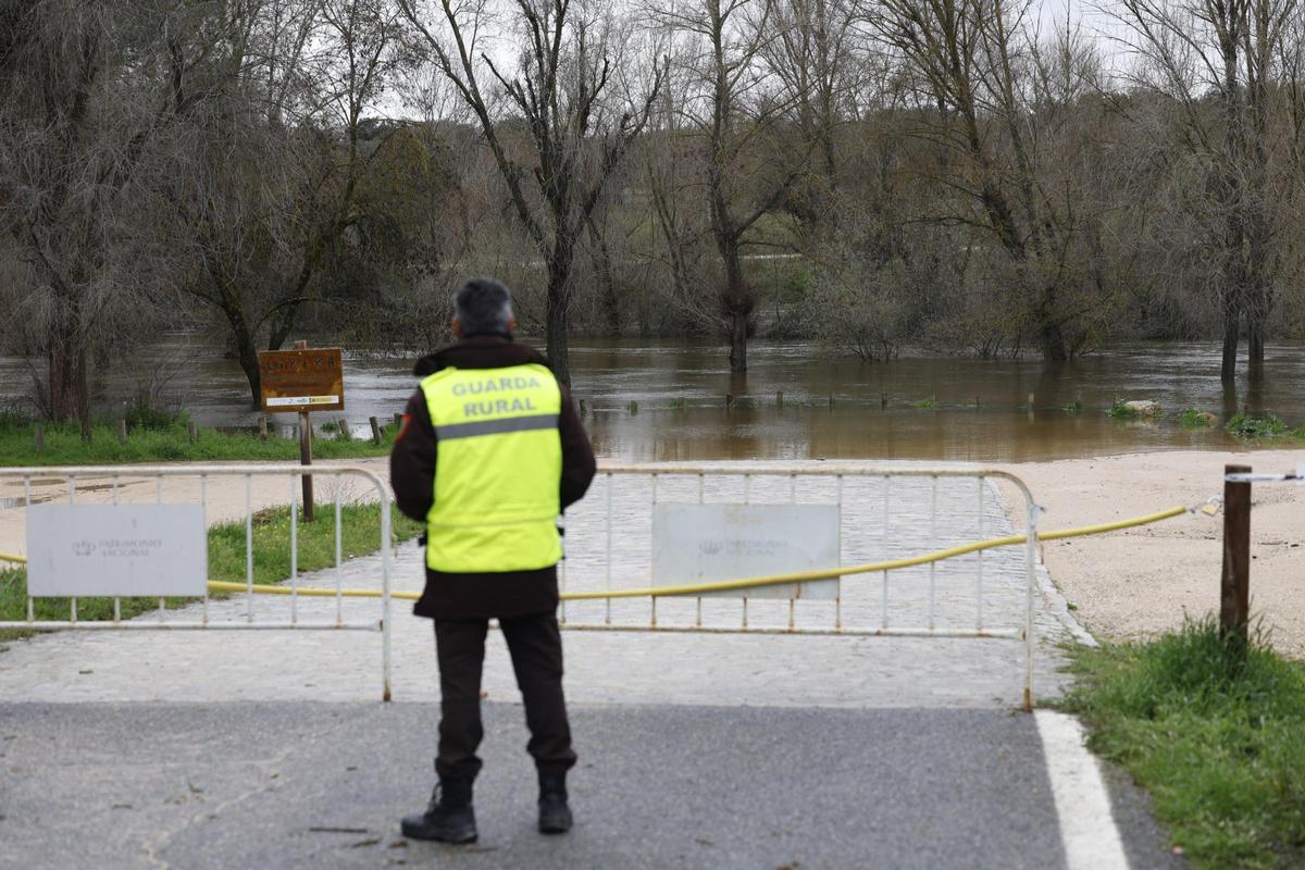 El río Manzanares, desbordado en el barrio madrileño de El Pardo.