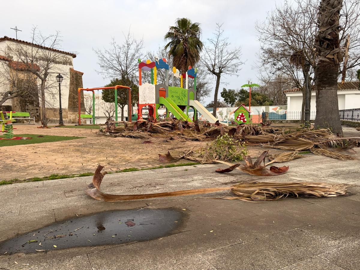 Fotogalería | Así ha afectado la borrasca Kristin en Garrovillas de Alconétar Fotogalería | Así ha afectado la borrasca Kristin en Garrovillas de Alconétar