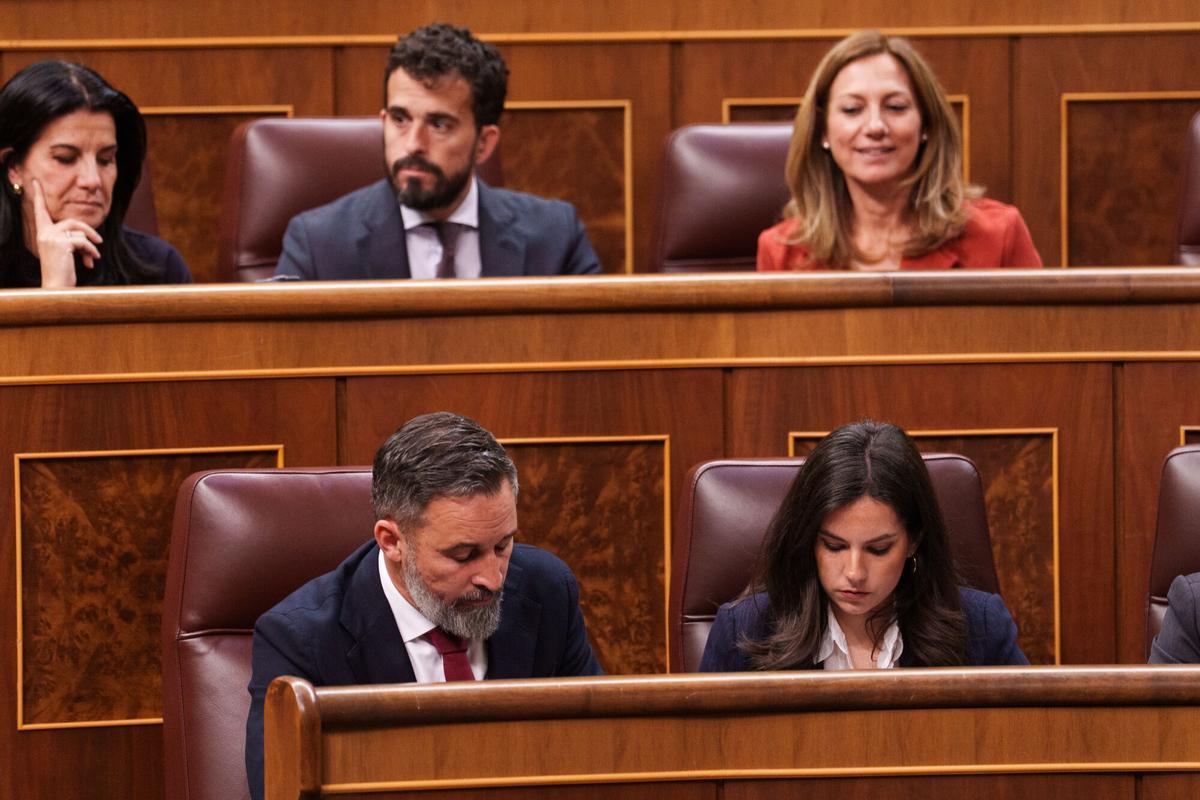 En la primera fila, el presidente de VOX, Santiago Abascal, y la portavoz de VOX en el Congreso, Pepa Millán, durante una sesión de control al Gobierno, en el Congreso de los Diputados, a 18 de marzo de 2026, en Madrid (España).