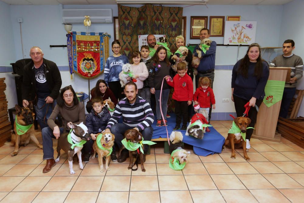 La primera falla canina de València