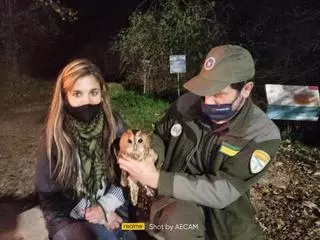 “Más del 80% de la fauna salvaje herida muere porque no sabemos manipularla”