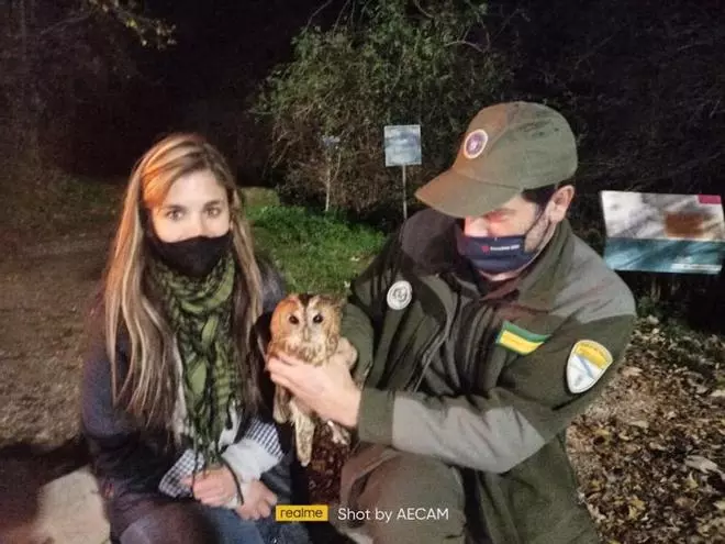 “Más del 80% de la fauna salvaje herida muere porque no sabemos manipularla”