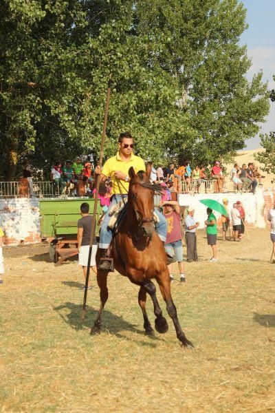 Fiestas en Zamora: Encierro y toros en Villamor