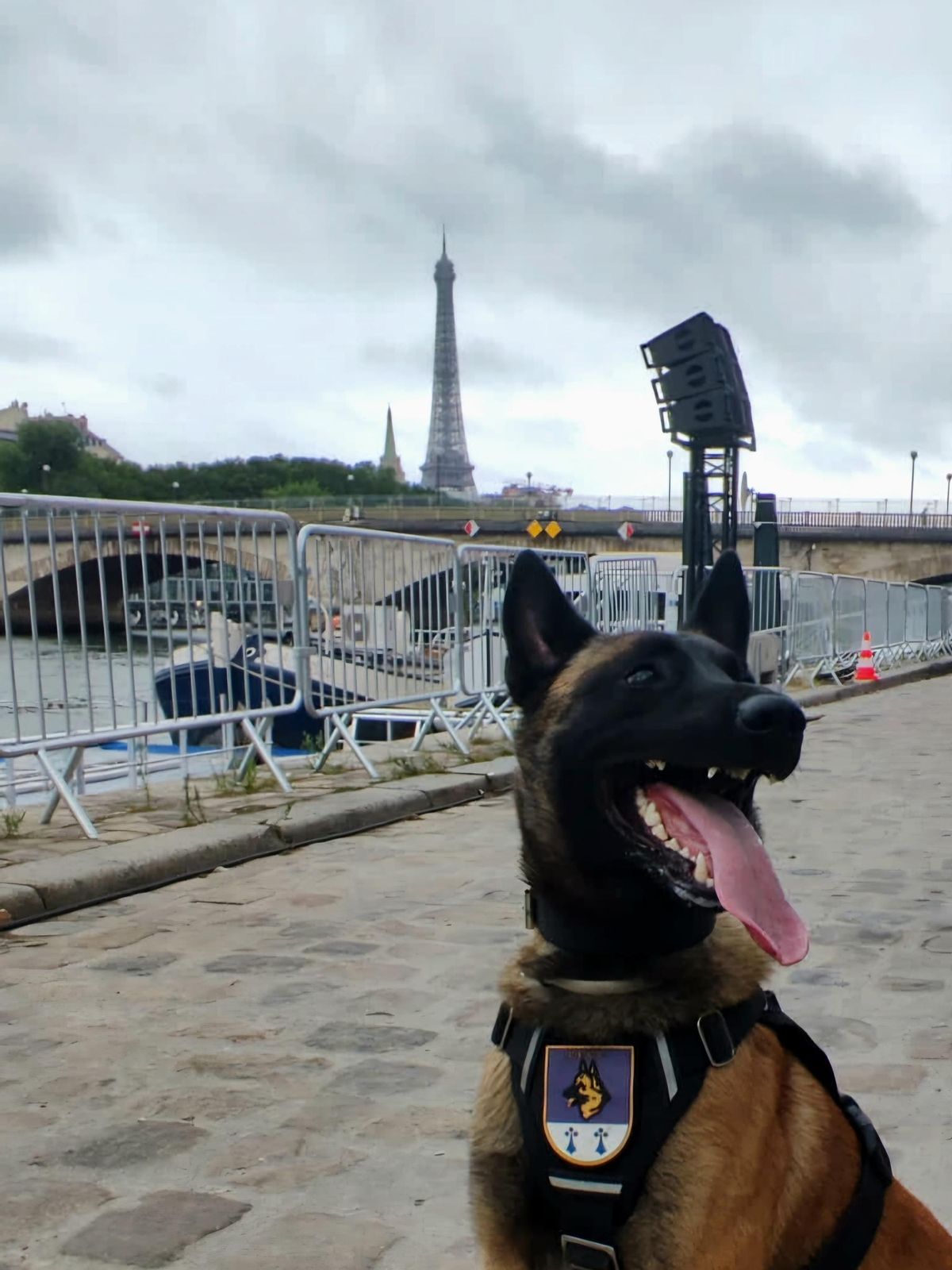 Uno de los perros de la patrulla canina de la Policía Nacional, con la Torre Eiffel de fondo.