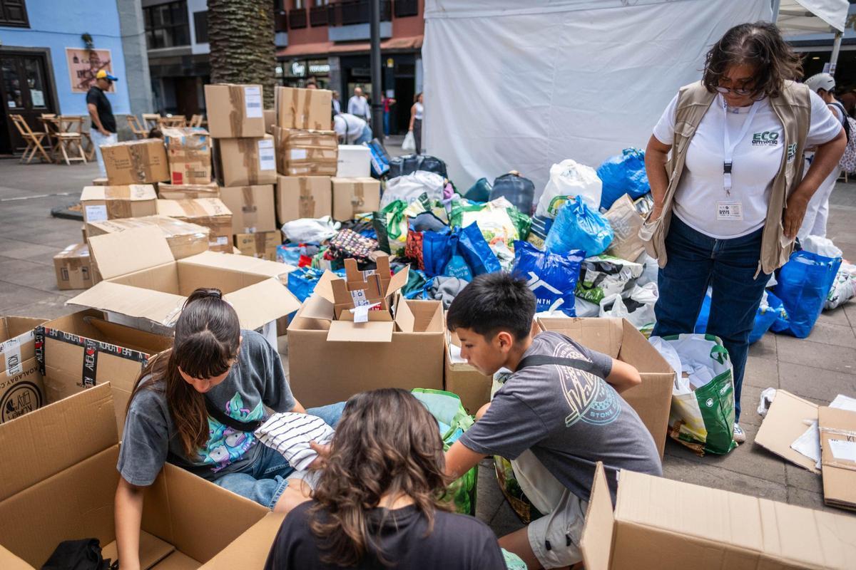 Recogida de alimentos y medicamentos en La Laguna