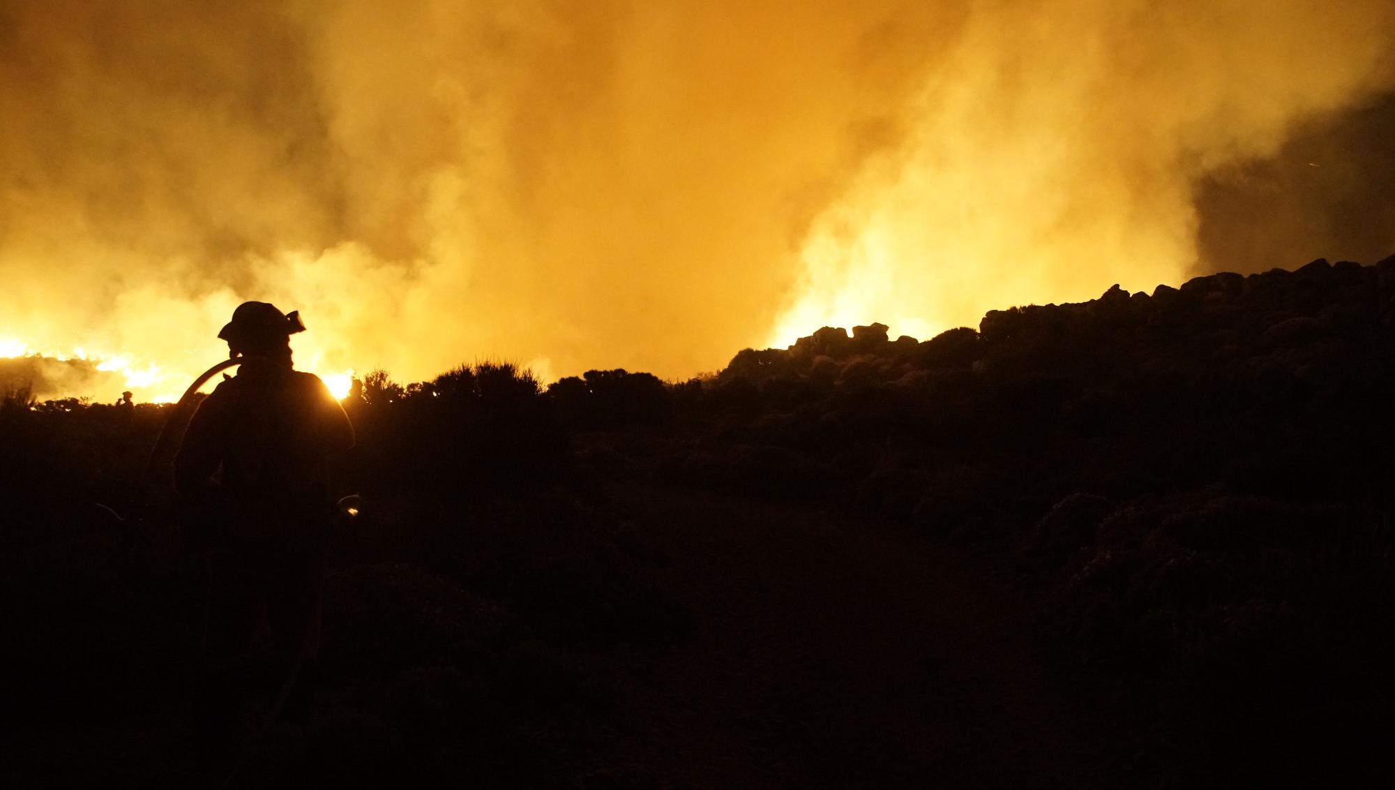 L'incendi forestal de Tenerife, en imatges