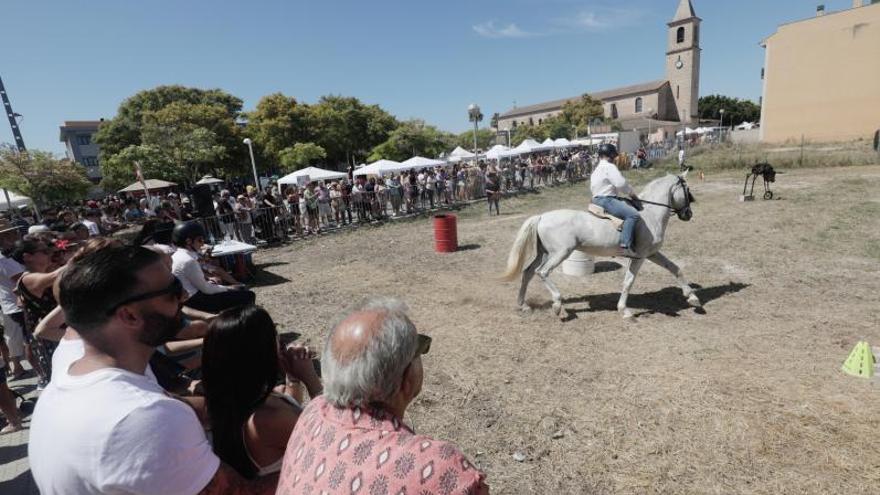 Mucho público en la exhibición ecuestre.  | MANU MIELNIEZUK