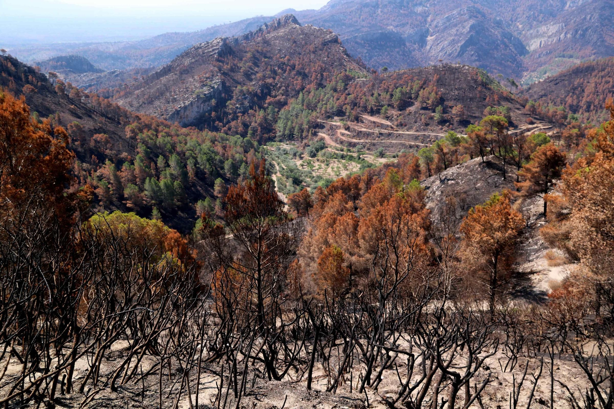 Les fotos de l'incendi de Paüls a vista de dron