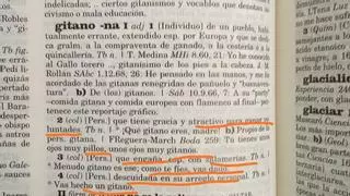 Piden retirar en Plasencia diccionarios con estereotipos sobre los gitanos