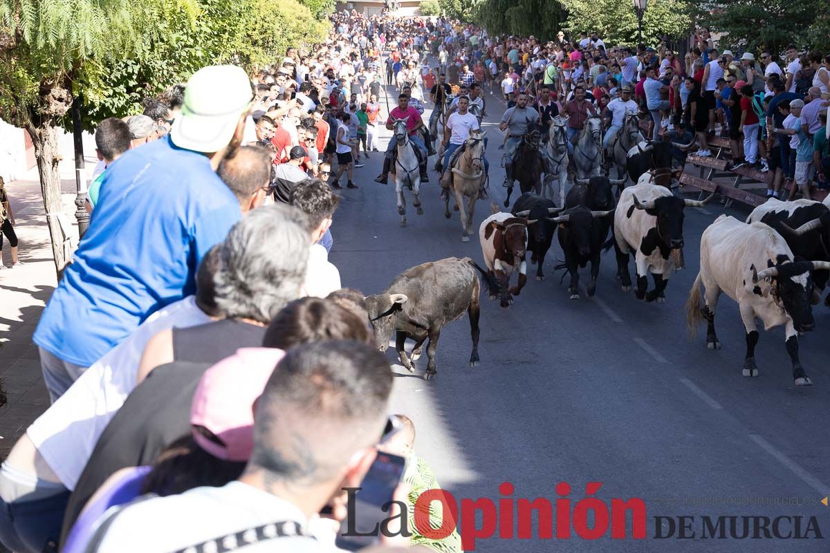 Último encierro en las Fiestas de Moratalla