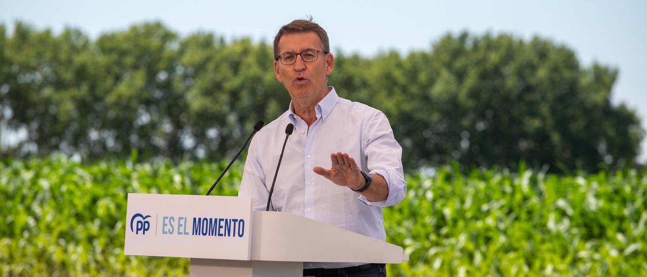 El líder del PP, Alberto Núñez Feijóo