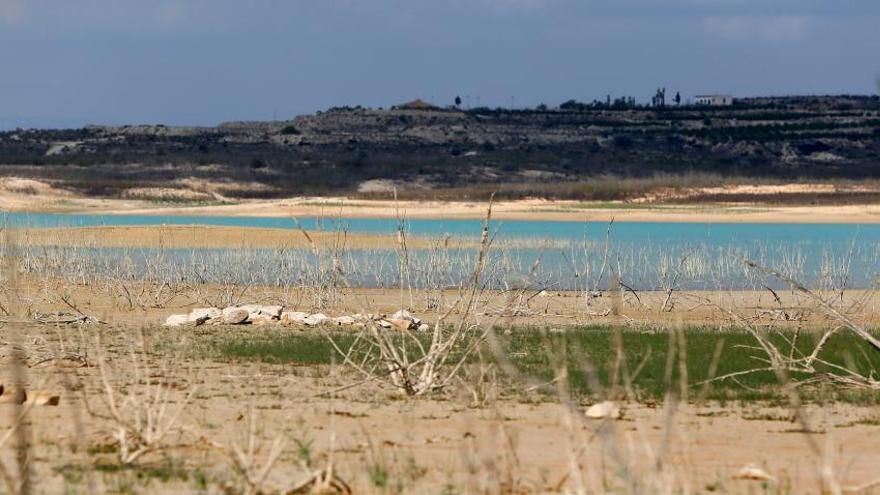 Imagen actual del estado del embalse de La Pedrera (Orihuela) castigado por la sequía