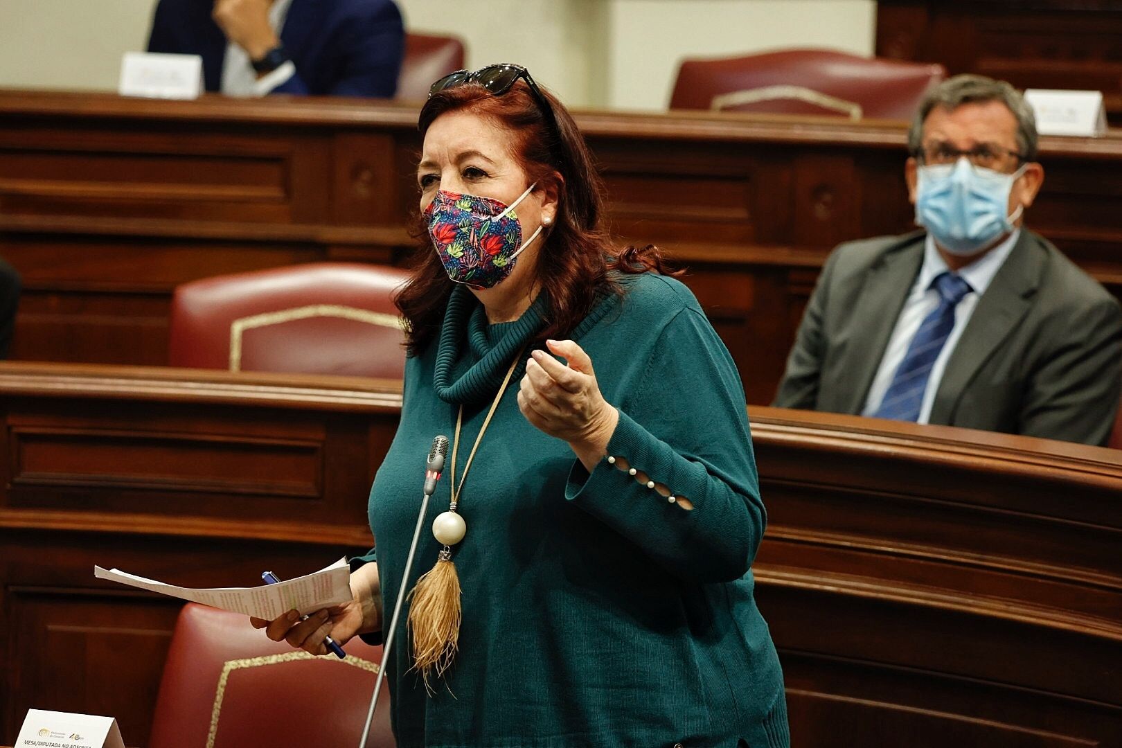 Pleno en el Parlamento de Canarias (9/2/21)