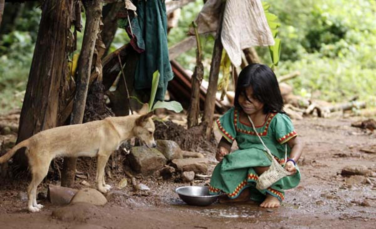 Una nena de la tribu dels Ngobe-Buglé dóna menjar a un gos en un districte de la província de Santa Fe (Panamà). Els Ngobe-Buglé són el grup indígena més gran de Panamà.