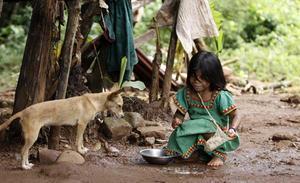 Una nena de la tribu dels Ngobe-Buglé dóna menjar a un gos en un districte de la província de Santa Fe (Panamà). Els Ngobe-Buglé són el grup indígena més gran de Panamà.