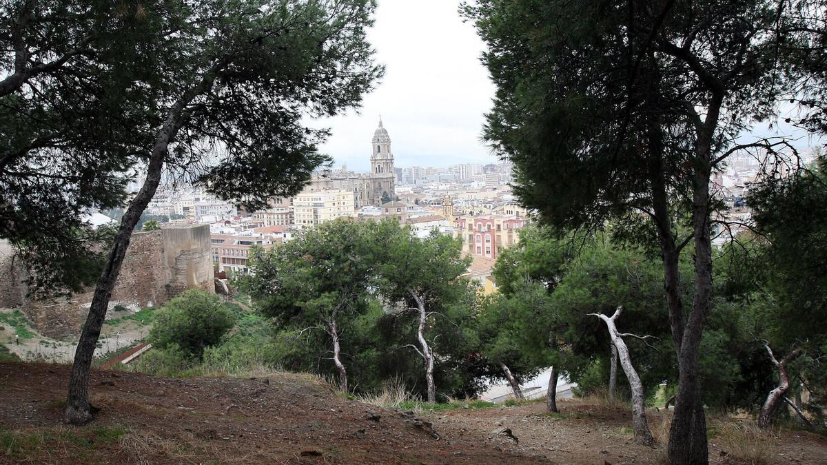 Málaga desde el Monte Gibralfaro