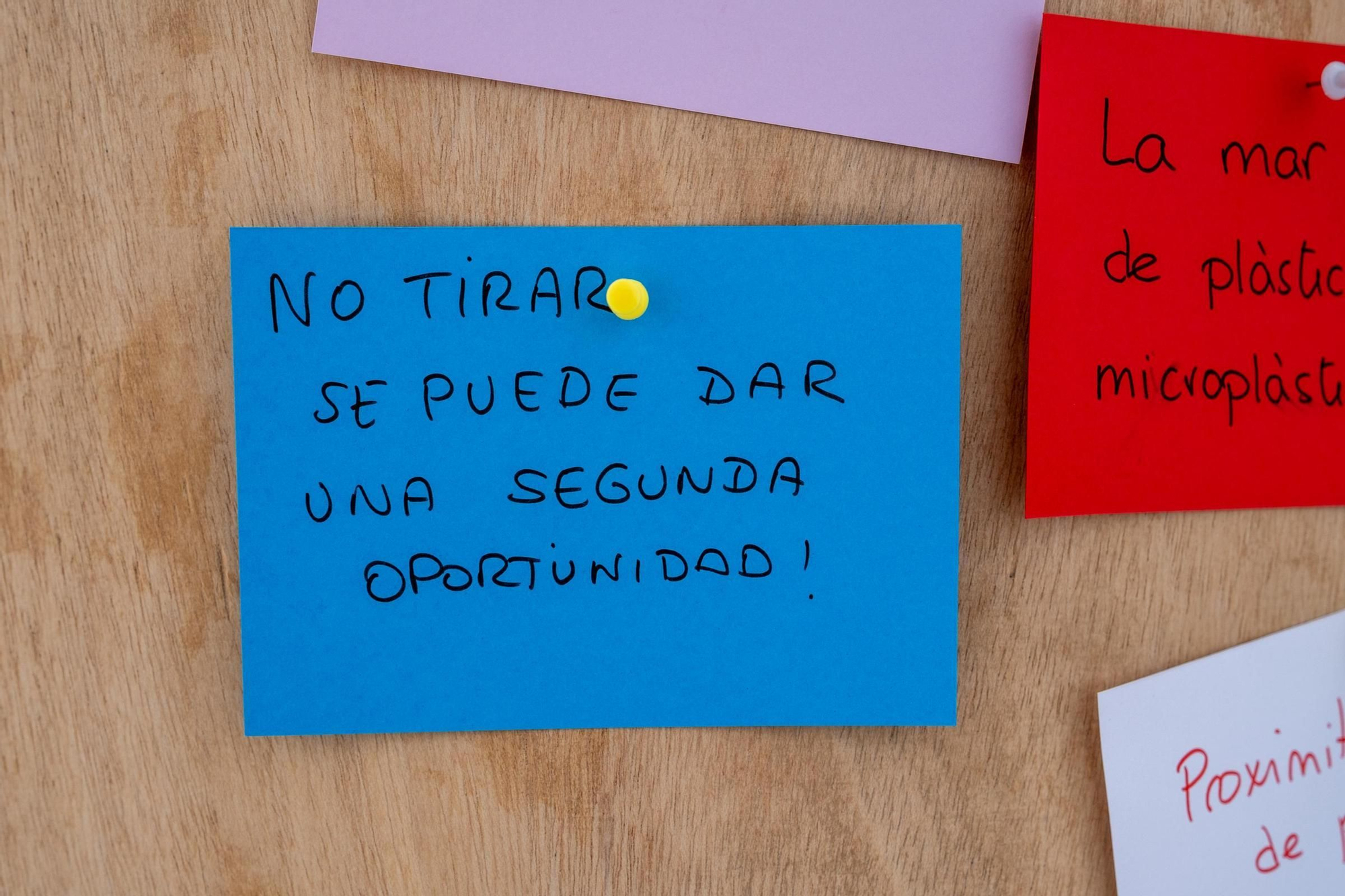 Las imágenes de los Premios Rezero Balears
