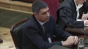 20190314 429214 traperomo 1 1