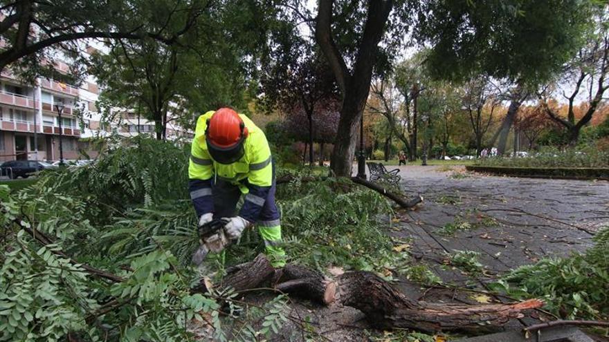 IU insiste en remunicipalizar la limpieza de parques y jardines