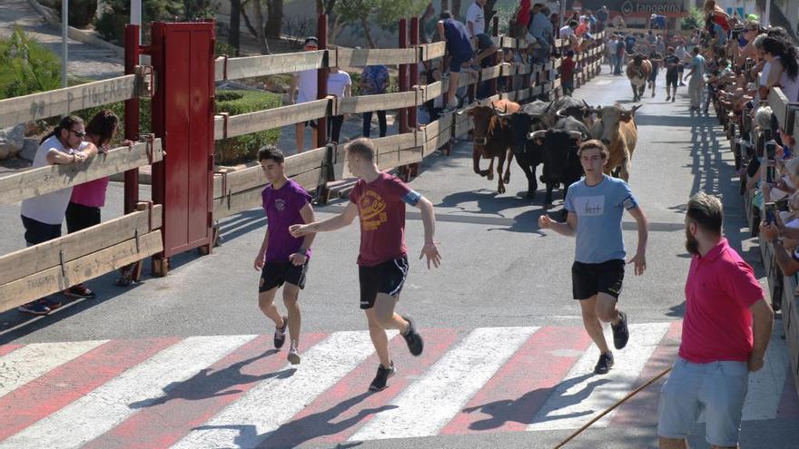 Los toros toman el protagonismo en Orpesa